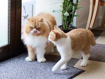 代表プロフィール