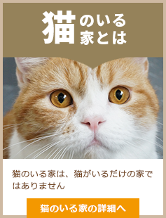 猫のいる家とは