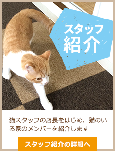 スタッフ紹介