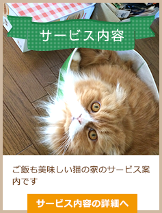 サービス内容