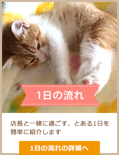 1日の流れ