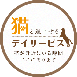 川崎市の猫と過ごせるデイサービス　猫のいる家